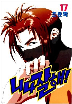 니나잘해 17권