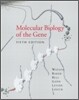 Molecular Biology of the Gene, 5/E