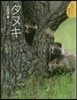 タヌキ