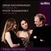 Trio Testore 차이코프스키 / 라흐마니노프: 피아노 3중주 (Rachmaninov & Tchaikovsky: Piano Trios)