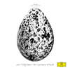Snorri Hallgrimsson (스노리 할그림슨) - The Importance of Birds [LP]