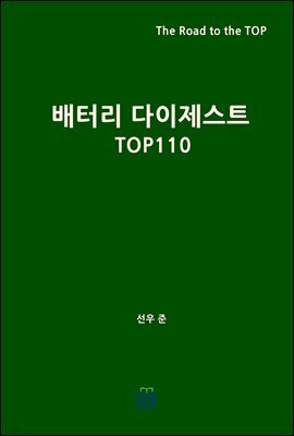 배터리 다이제스트 TOP110