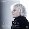 Ronald Brautigam 베토벤: 피아노 소나타 전곡집 (Beethoven: The Complete Piano Sonatas)