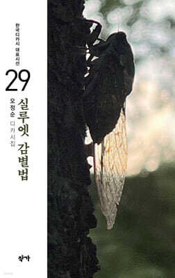 실루엣 감별법
