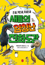 새들의 엄청난 진화도감