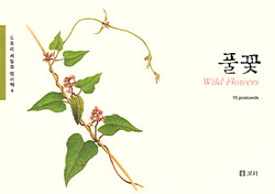 도토리 세밀화 엽서책 4 풀꽃