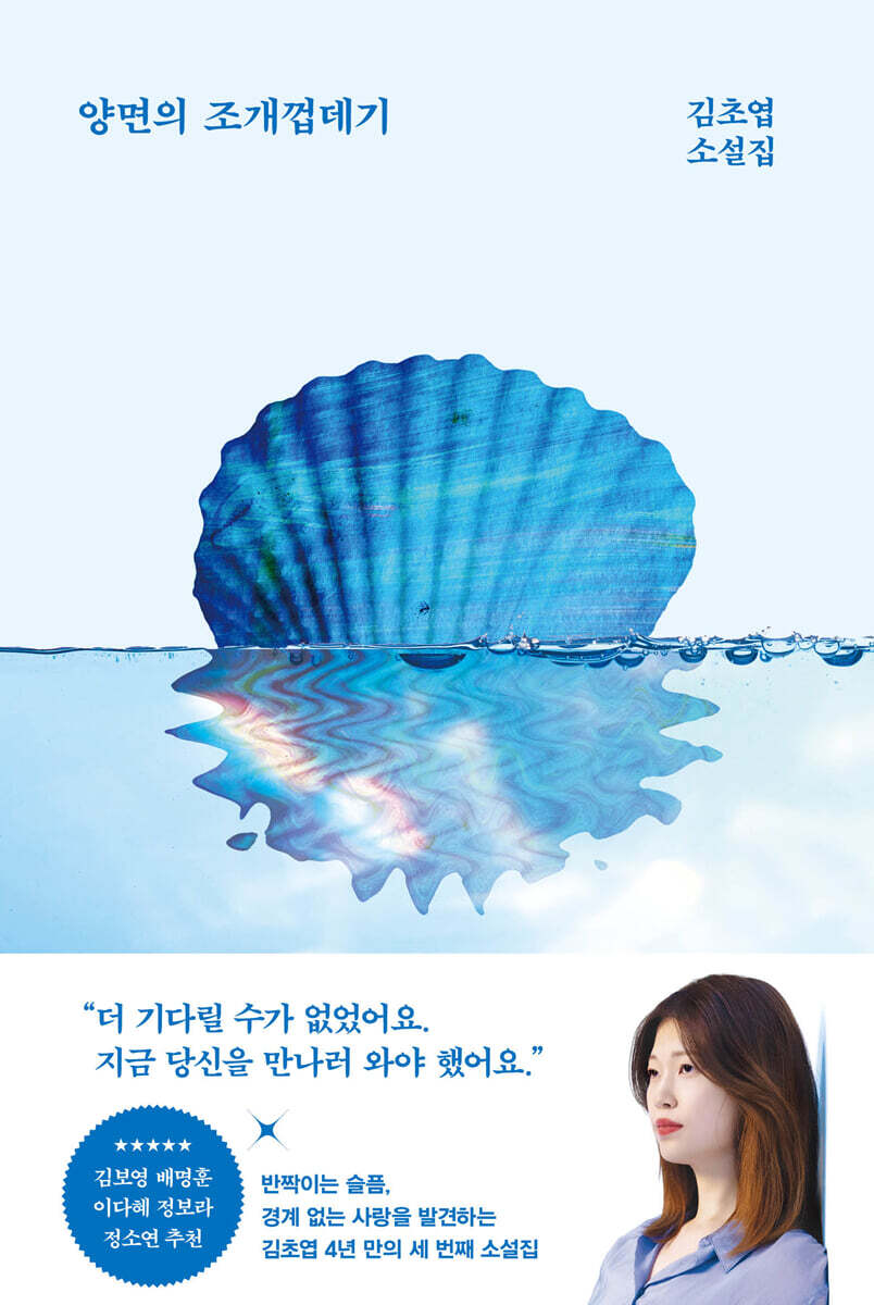 양면의 조개껍데기