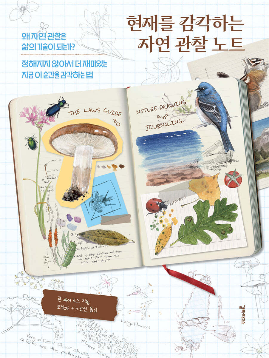 현재를 감각하는 자연 관찰 노트