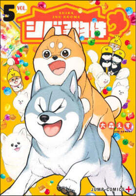 シバつき物件 5