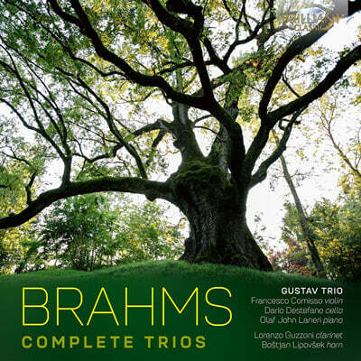 Gustav Trio 브람스: 피아노 삼중주 전곡 (Brahms: Complete Trios)