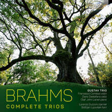 Gustav Trio 브람스: 피아노 삼중주 전곡 (Brahms: Complete Trios)