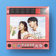 스물다섯 스물하나 (tvN 주말드라마) OST [2LP]