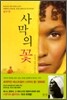 사막의 꽃