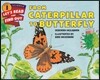 From Caterpillar to Butterfly