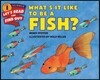 What's It Like to Be a Fish?