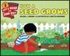 How a Seed Grows