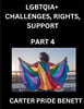 LGBTQIA+ Challenges, Rights, Support (Volume 4)- The Unseen Struggles, Pride and Triumphs of the LGBTQ Community, Navigating Identity, Romance, Love, and Justice for Beyond the Binary, Queer and Rainb