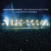 Hooverphonic (후버포닉) - The Magnificent Tree - Live With Strings [컬러 LP]
