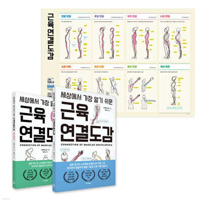 세상에서 가장 알기 쉬운 근육연결도감 세트