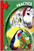Macmillan McGraw-Hill Reading Grade 3 : Practice Book