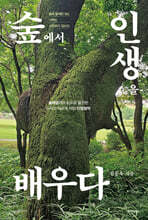 숲에서 인생을 배우다