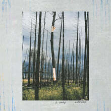 S. Carey (션 캐리) - Watercress [LP]