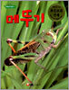 메뚜기