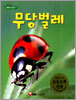 무당벌레