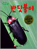 반딧불이