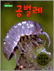 공벌레