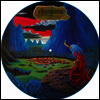 Ashbury - Endless Skies (Ltd)(Picture Disc)(LP)