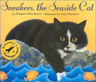 Sneakers, the Seaside Cat