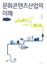 문화콘텐츠산업의 이해 (큰글자책)
