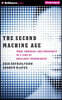 The Second Machine Age: Work, Progress, and Prosperity in a Time of Brilliant Technologies