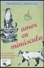 Amor En Minuscula