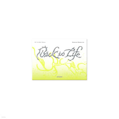 &TEAM (앤팀) - KR 1st Mini Album 'Back to Life' Photocard Box [Weverse Albums ver.]