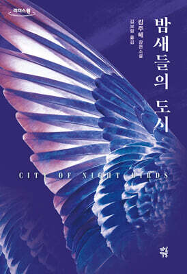 밤새들의 도시 (큰글자도서)