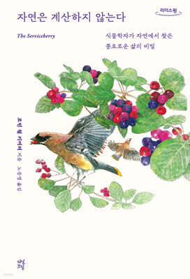 자연은 계산하지 않는다 (큰글자도서)