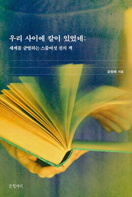 우리 사이에 칼이 있었네 (큰글자도서)