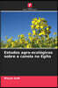 Estudos agro-ecologicos sobre a canola no Egito