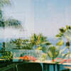 파라솔웨이브 (PARASOL WAVES) - 1집 : PARASOL WAVES
