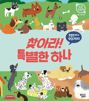 찾아라! 특별한 하나