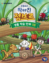 곤충보다 작아진 정브르 10