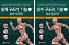 인체구조와 기능 해부생리학 세트