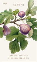 소설 보다 : 가을 2025