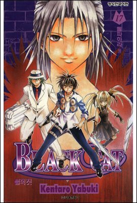 블랙캣 17