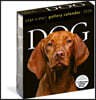 Dog Page-A-Day® Gallery Calendar 2026