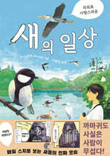 의외로 사랑스러운 새의 일상