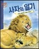 동물일기 4 사자의 일기