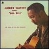 Muddy Waters - Sings Big Bill Broonzy